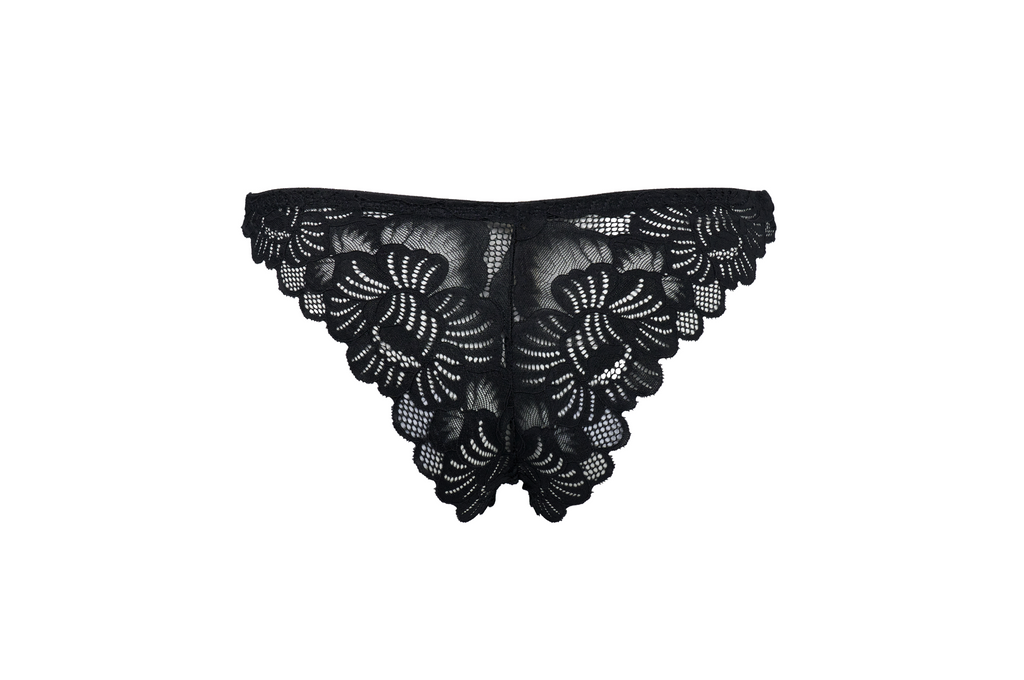 Galilea Brief
