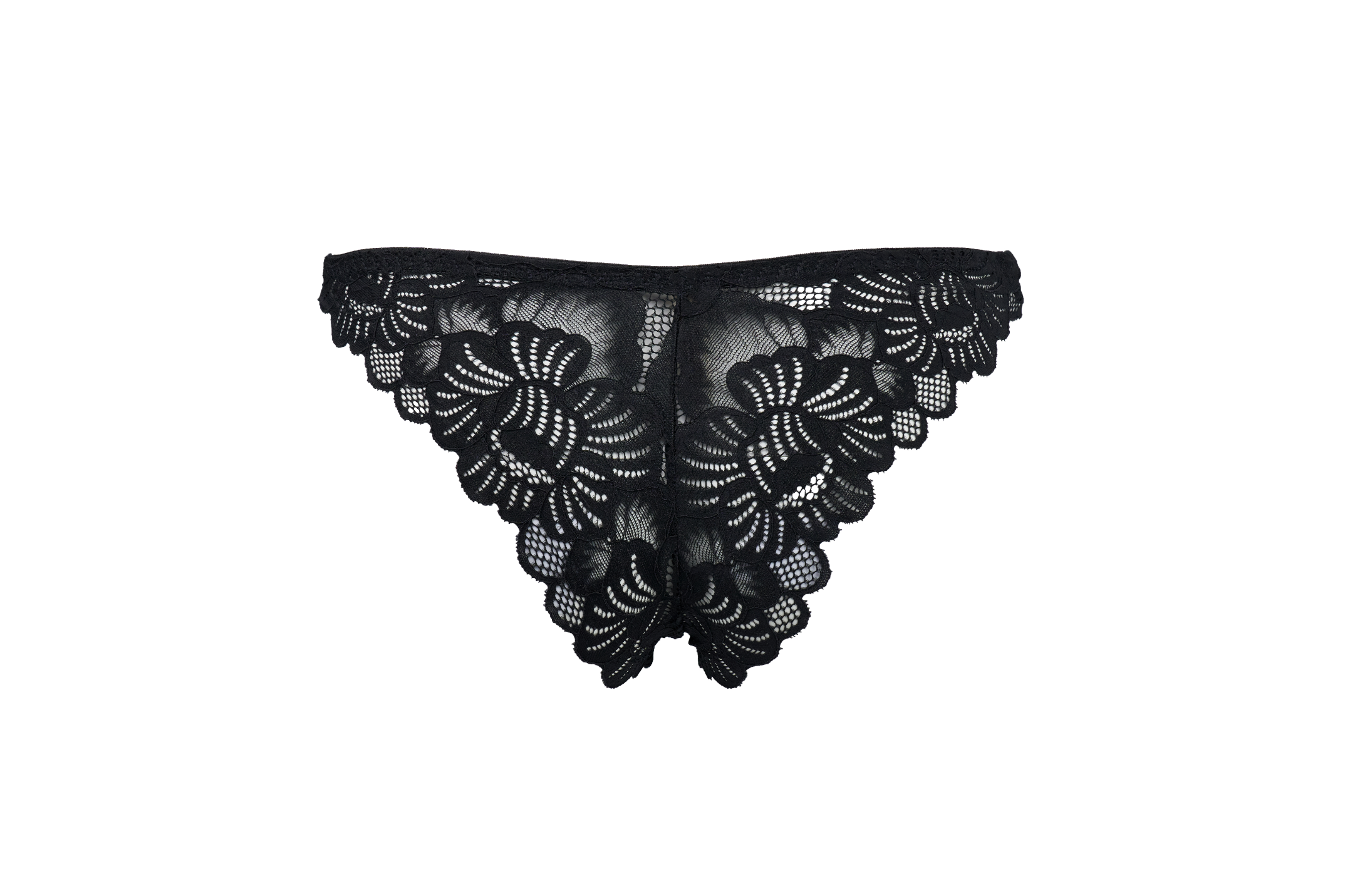 Galilea Brief